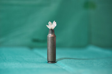Delicate White Flower Resting on an Empty Bullet Shell – Symbol of Peace and Fragility
