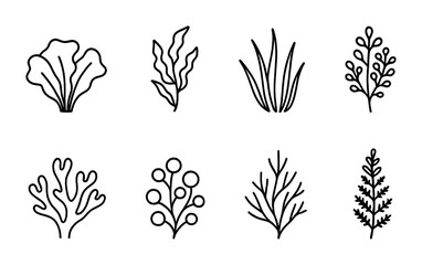 Collection of simple line art seaweed and algae illustrations.