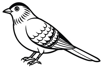 Fototapeta premium vector illustration of dove
