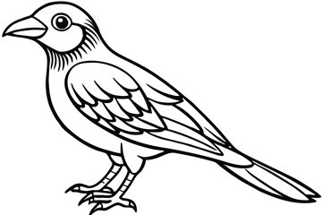 Naklejka premium dove isolated on white background
