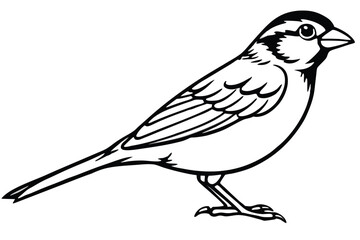 Obraz premium bird on a branch