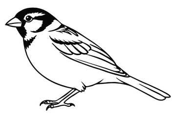 bird on a branch