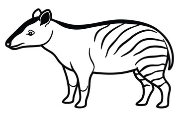 Fototapeta premium vector illustration of a zebra