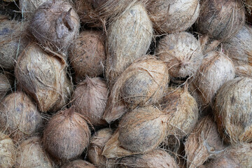 Fresh coconuts in shell in Kandy Central Market, Sri Lanka, Asia