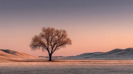 Fototapeta premium A single tree stands against a desolate backdrop during twilight, surrounded by rolling hills and a vibrant pink sky