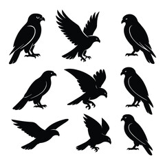 Six different style Owl Silhouette Vector Illustration on white background