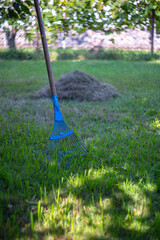 A blue fan rake stands on a lawn with a pile of dry mown grass. Common problem with lawnmowers...
