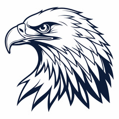 Fototapeta premium Eagle head vector illustration