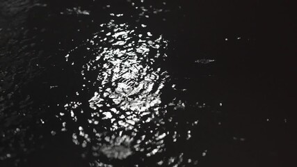 Tokyo, Japan - May 30, 2025: Heavy rain falling on a street in the night
