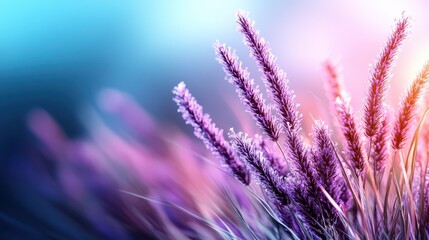 A mesmerizing display of purple grass swaying against an ethereal backdrop, conveying beauty, tranquility, and the magical elegance of nature's palette.