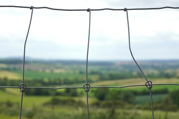 barbed wire fence
