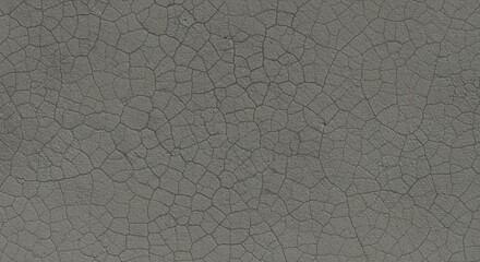 Gray cracked surface texture (3)
