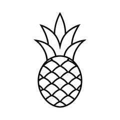 pineapple vector illustration