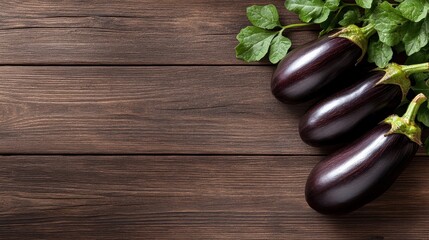 Three glossy, purple eggplants sit atop a rustic wooden backdrop which enhances the natural beauty and freshness of this vibrant and nutritious vegetable ready for culinary use.