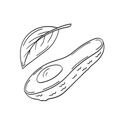 Illustration in hand draw style. Icon, sign, sticker, pin, logo