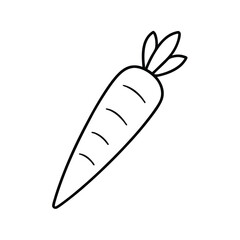 hand drawn vector illustration of a carrot