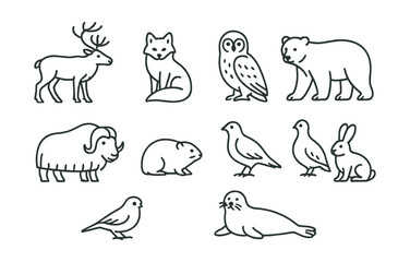 Line style icons of animals in the tundra biome: reindeer, Arctic fox, snowy owl, polar bear, musk ox, lemming, snow bunting, ptarmigan, Arctic hare, seal.