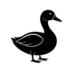 Obraz premium Duck silhouette vector with white background design