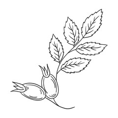 Illustration in hand draw style. Icon, sign, sticker, pin, logo