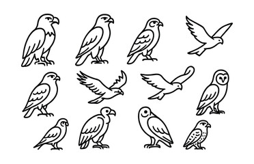 Line style icons of raptors and birds of prey: eagle, hawk, falcon, buzzard, osprey, kite, harrier, vulture, barn owl, peregrine falcon.