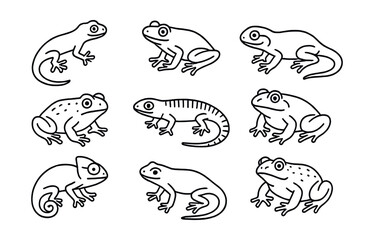 Line style icons of nocturnal reptiles and amphibians: gecko, tree frog, salamander, toad, night lizard, bullfrog, nocturnal chameleon, newt, gopher frog, red-eyed tree frog.