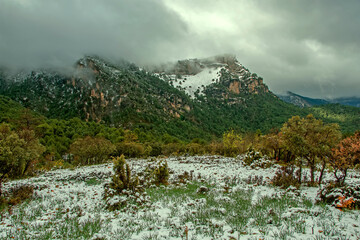 Invierno en las zonas altas del parque natural de Cazorla, Segura y Las Villas.