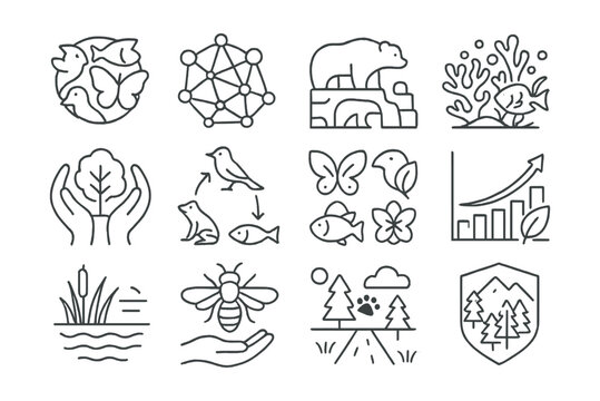 Line style icons of biodiversity and ecosystems: species icon, ecosystem web, keystone species, coral reef icon, habitat protection, food chain icon, species diversity, biodiversity graph, wetland
