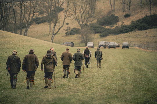 Guns walking to the next drive on a pheasant shoot in the UK
