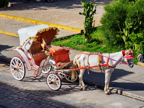 Horse-drawn carriage at the Itzamna Park, Izamal, Yucatan State, Mexico