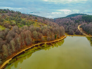 Yenice Forests are located in the northwest of Turkey.