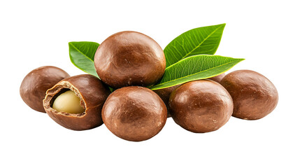  Fresh Macadamia Nuts with Cracked Shell and Green Leaves 