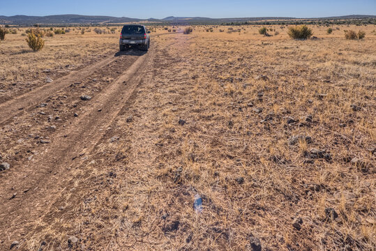 Sport Utility Vehicle traveling on Forest Service Road 709 in the Kaibab National Forest of Arizona, USA