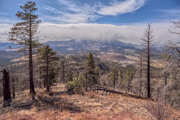 A snow squall storm building up over Humphrey's Peak, Arizona, USA