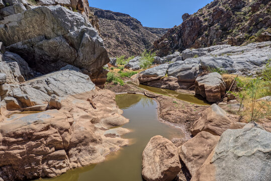 An ephemeral pool of water in the granite riverbed of the Agua Fria River Canyon, Agua Fria National Monument, Arizona, USA
