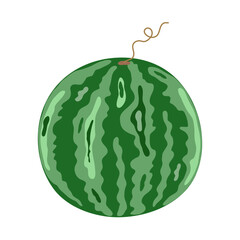 Watermelon whole, sweet ripe delicious berry with green striped outer rind, agricultural crop, farm-grown cultivated fruit, organic diet ingredient for dessert, healthy vegan food clipart for design