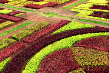 Madeira Botanical Gardens, Funchal