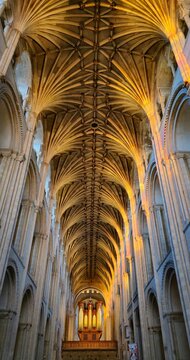 Vaults, interior of Norwich Cathedral, Norfolk, England