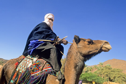 Tuareg man wearing a litham or tagelmust, Avdz?r, Niger, Western Africa