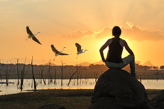 Young woman admiring a flight of grey heron at sunset by the Senanayake Samudraya Lake, Gal Oya National Park, Sri Lanka