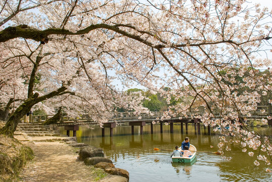 Spring Lagse