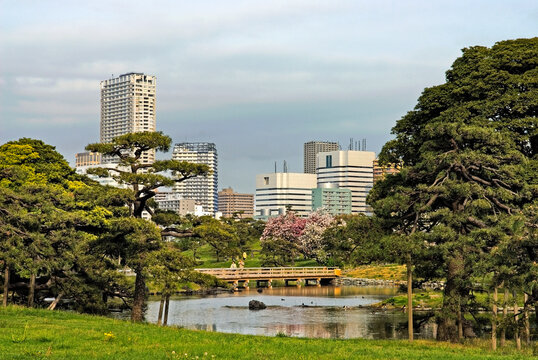 Hama-rikyu Gardens, next to Shiodome area, in Chuo district at the mouth of the Sumida River, Tokyo, Japan