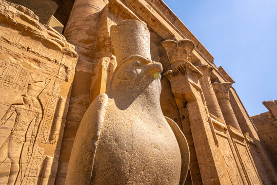 View of statue of Horus the falcon outside the doorway to the sandstone Temple of Horus at Edfu, Egypt, North Africa, Africa