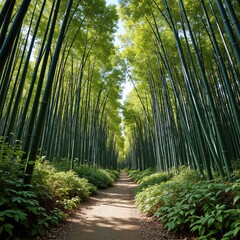 forest tree nature green trees bamboo woods pine foliage beautiful outdoors
