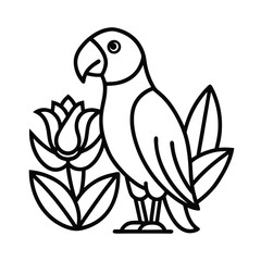 vector illustration of a parrot