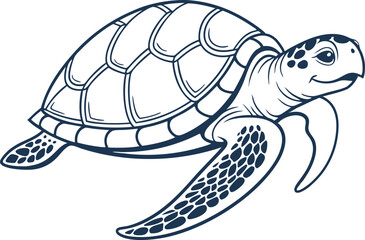 turtle vector illustration