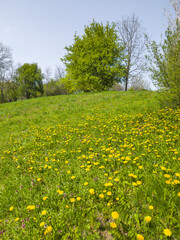Landscape of South Park in city of Sofia, Bulgaria