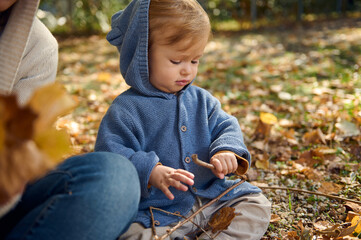 Adorable toddler in blue hoodie playing in autumn leaves outdoors