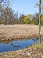 Landscape of South Park in city of Sofia, Bulgaria