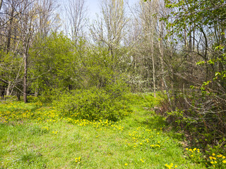 Landscape of South Park in city of Sofia, Bulgaria