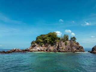 Breathtaking aerial view above a picturesque coastline showing dense forest trees, green jungle and...